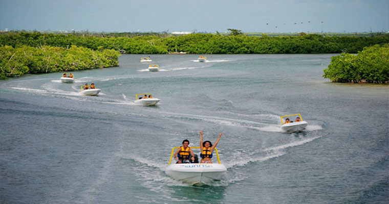 Jungle Tour with Speedboats 